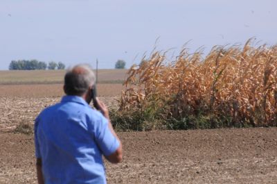 Váratlan zuhanást mutat a mezőgazdasági foglalkoztatás