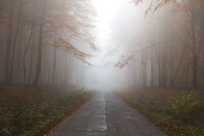 Tartós, sűrű köd várható Hajdú-Biharban