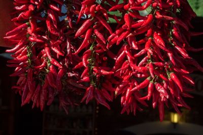 „Az már szinte csoda, hogy még van igazi szögedi paprika”