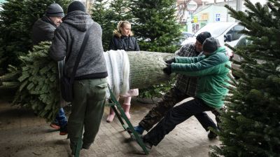 Elindult a karácsonyfaszezon: ennyit drágultak idén az árak