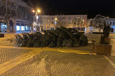 Illés Károly ígérte, hogy feljelentést fog tenni a januárban feldőlt Fő téri karácsonyfa miatt, aztán nem emlékezett, hogy járt-e emiatt a rendőrségen