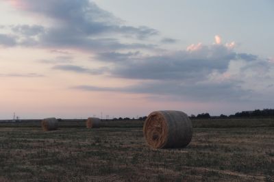 Mfor: Mészáros Lőrinc Lázár Jánostól vett nagybirtokot Vásárhely és Makó között