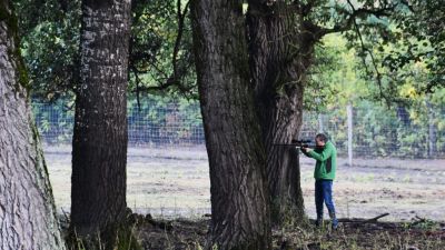 Újra élettel teli a pörbölyi vadmegfigyelő