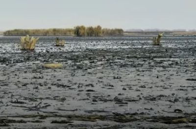 Videó: így néz ki a leengedett Tisza-tó