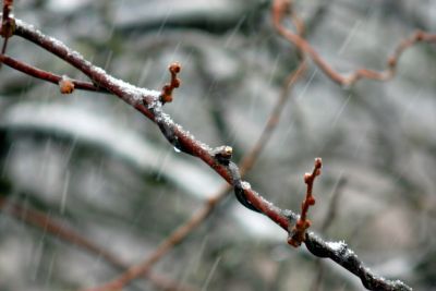 Havas esővel érkezik a Mikulás