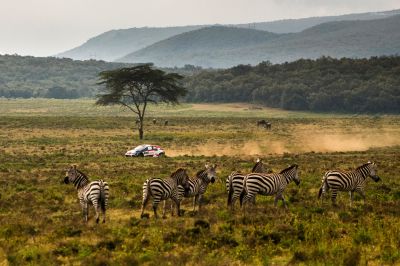 Még hosszabb lesz jövőre a legendás Szafari Rally