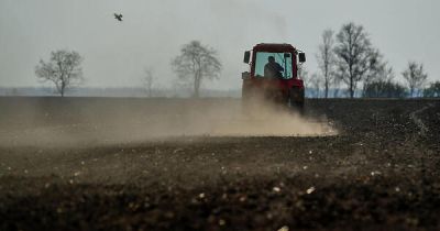 Nagyon betett az aszály a magyar mezőgazdaságnak