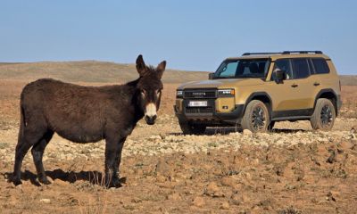  Ide az összes kátyúval! Afrikában kínoztuk meg a vadonatúj Toyota Land Cruisert  