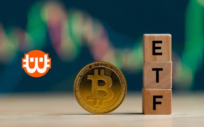 A Bitcoin ETF-ek túlszárnyalták Satoshi tartalékait – Veszélyes jel vagy a jövő útja?