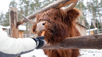 Télen is kinyit a debreceni Vidámpark: ennyibe kerül a jegy, bérlet családoknak