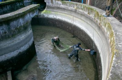 Csatornába szorult halakat mentettek meg a Tisza-tónál – fotókkal 