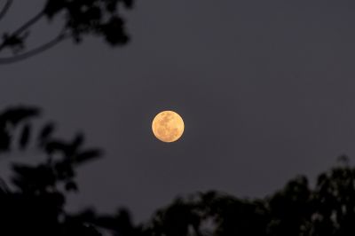 A Jupiter kíséri majd az év utolsó teliholdját