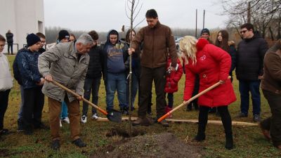 Jövőre is folytatódik a nagy sikerű Településfásítási program