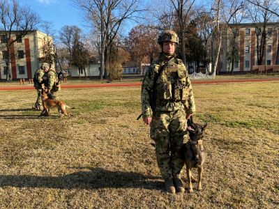 Négylábú bajtársak az EUFOR misszióban Szentesről