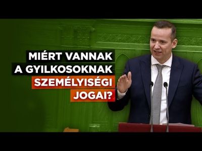 Halálbüntetés, kasztrálás, avagy egy gyerekgyilkosnak nincsenek személyiségi jogai! (+VIDEÓ)