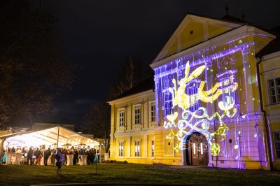 Kukkonia Advent és karácsonyváró babvásár zajlott Dunaszerdahelyen (FOTÓK)