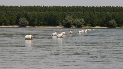 Melegebb volt a Duna a megengedettnél egy eltitkolt mérés rejtegetett adatai szerint