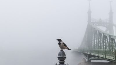 Teljes sztrájk jöhet Budapesten – figyelmeztetést küldtek a szakszervezetek