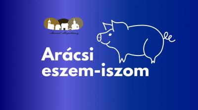 Arácsi eszem-iszom 2025 Balatonfüred