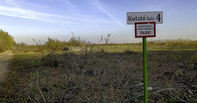 Háromszor annyit kaptak a győri gazdák a földjükért, mint a szegediek