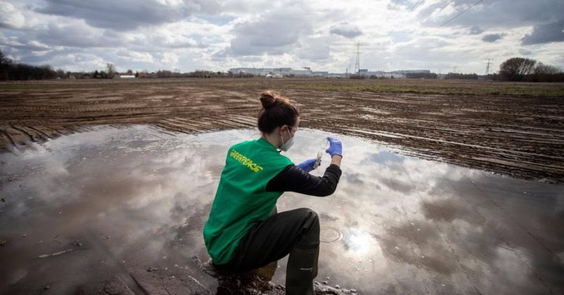 Lassan egy éve vár hiába hatósági válaszokra a Greenpeace