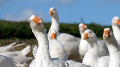 Itt a bejelentés: még az idén 1,5 milliárd forint többlettámogatást kapnak ezek a gazdák