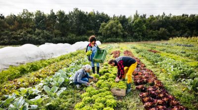 Jobbról és balról is kapott egy nagy pofont ez az ágazat 2024-ben