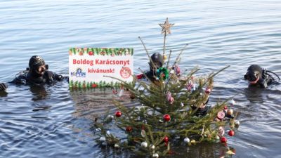 Egy tó fenekén állítottak karácsonyfát a magyar búvárok + videó