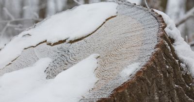 Ilyen idő lesz szenteste és karácsonykor! - Fehér lesz?