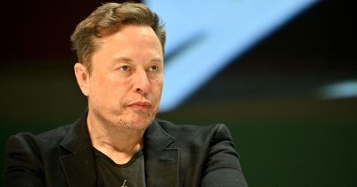 Inkopetens bolond, azonnal le kell mondania - írta posztjában Elon Musk a német kancellárról