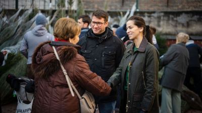 Kedvezményes fenyőfavásárt tartottak a fővárosban