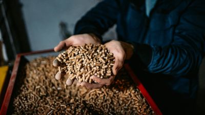 Kiaknázatlan lehetőségeket rejt a magyar gazdaság: ebben törhetünk az élre?