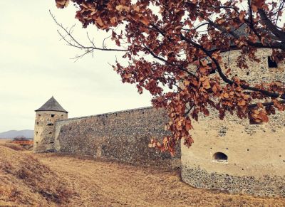 Ködfátyolos természetjárás a Korponai dombság nyúlványainál