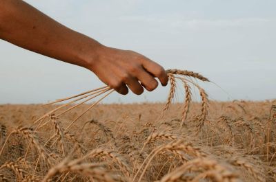 Aláírásgyűjtés a gazdák megvédése érdekében