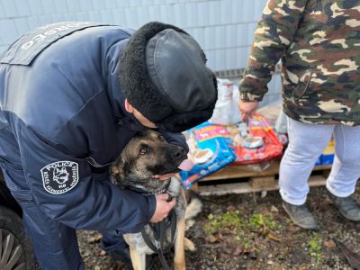 Menhelyen élő kutyákon, macskákon segítettek a rendőrök karácsonykor (fotók)