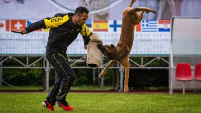 Nincs többé C3PO, hosszú betegség után ment el + videó