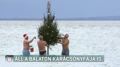 Idén is vízbe került Szigligeten a Balaton karácsonyfája