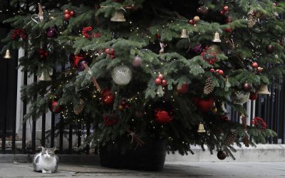 Időjárás – Havazás helyett mást kapunk karácsonyra