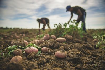 Nemzetgazdasági Minisztérium:  Magyarország sem vendégmunkásország, sem pedig migránsország nem lesz