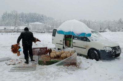 Ítéletidő a Balkánon, tízezrek maradtak áram és ivóvíz nélkül