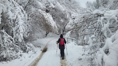 Szép fotókon a Mecsek térdig érő hótakarója