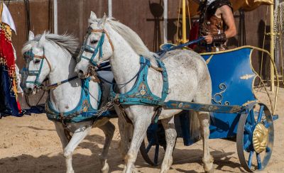 Belecsapott a villám a római Colosseumba, szörnyűséges tragédia történt, ez volt a Római Birodalom legfurább gladiátor viadala