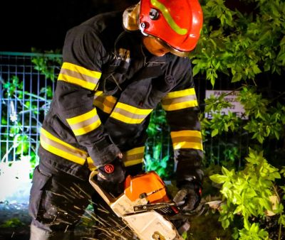 Fákat csavart ki az erős szél a fővárosban, ilyen időjárás várható csütörtökön az országban