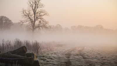 Idén már aligha fog esni