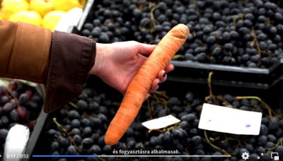 Egymillió dollárból élelmiszer-feldolgozót hozna létre a főváros, pályázaton szereznének rá pénzt