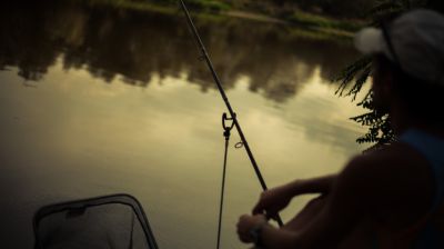 Ez ijesztő: nem is gondolnád, milyen halak lepték el a magyar tavat