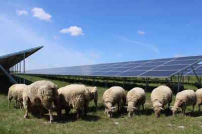 Lassult a növekedés, de így is 66 GW-tal bővültek az EU napelemes kapacitásai