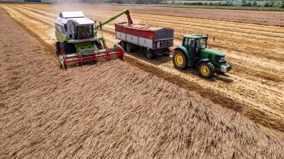 Magyar agrárium: legyőzte a kihívásokat, eredményes évet zár