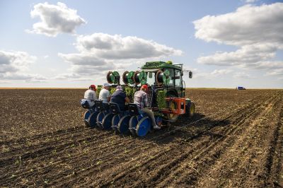 Egyre népszerűbb az agrárium a fiatalok körében