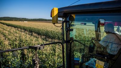 Jó hír a vidéknek: egyre több fiatal választja az agrárszakmát